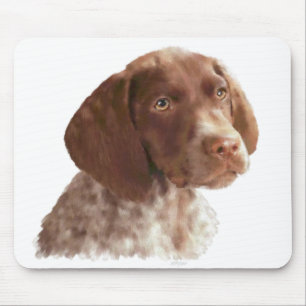 Tysk Shorthair valp Musmatta