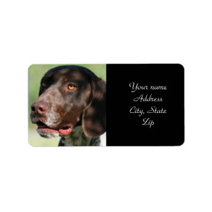 Tysk Shorthaired pekare Adressetikett