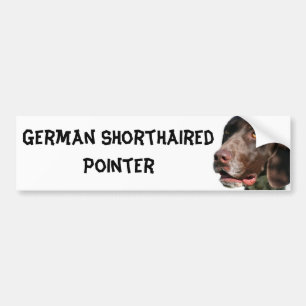 Tysk Shorthaired pekare Bildekal