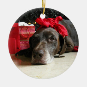 Tysk shorthaired pekare för jul julgransprydnad keramik