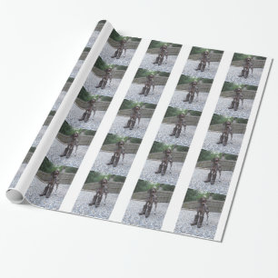 Tysk Shorthaired pekare i kängor Presentpapper