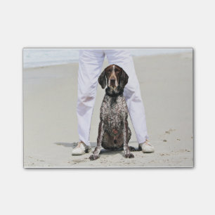 Tysk Shorthaired pekare - Luke - Riley Post-it Block