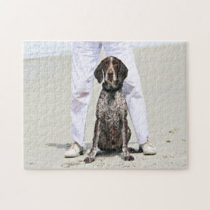 Tysk Shorthaired pekare - Luke - Riley Pussel