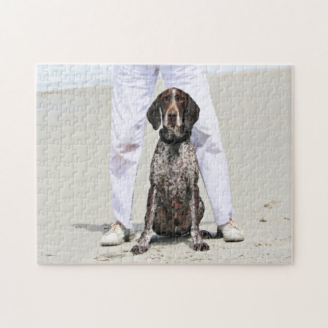 Tysk Shorthaired pekare - Luke - Riley Pussel (Horisontell)