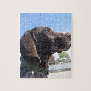 Tysk Shorthaired pekare Pussel