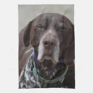 Tysk Shorthaired pekarehund Kökshandduk