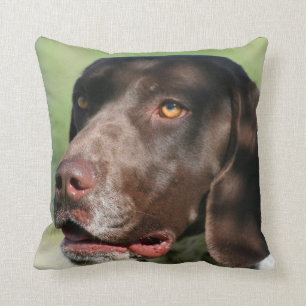Tysk Shorthaired pekarehund Kudde