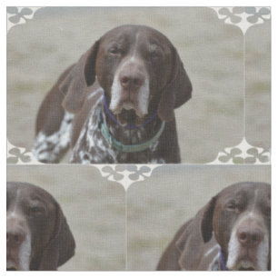Tysk Shorthaired pekarehund Tyg