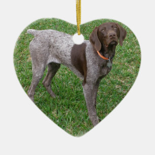 Tysk Shorthaired pekareprydnad Julgransprydnad Keramik