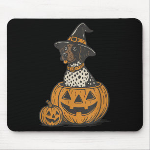 Tysk Shorthar Inter Halloween Gsp Hund Hund Musmatta