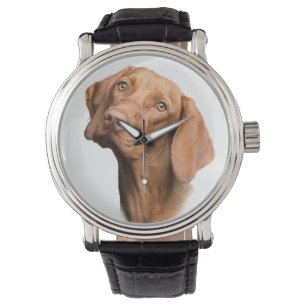 Tysk Shorthar Pointer Brown-Hund Armbandsur