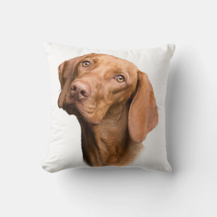Tysk Shorthar Pointer Brown-Hund Kudde