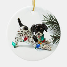 Tysk Shorthar Pointer-Hund - julprydnad