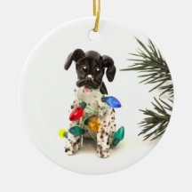 Tysk Shorthar Pointer-Hund - julprydnad