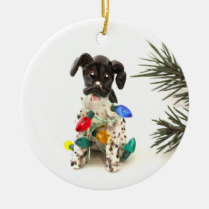 Tysk Shorthar Pointer-Hund - julprydnad Julgransprydnad Keramik