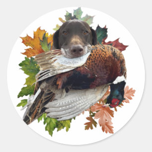 Tysk Shorthar Pointer med fasasant Snö Glob Runt Klistermärke