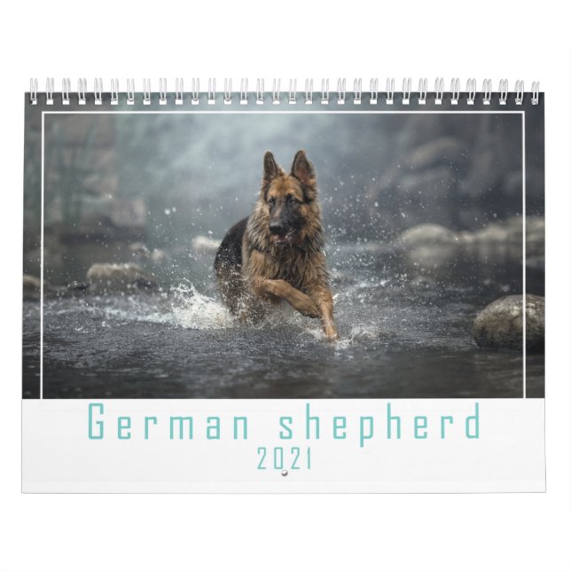 Tysk skaldjurskalender för herdedjur hund 2021. kalender (Omslag)