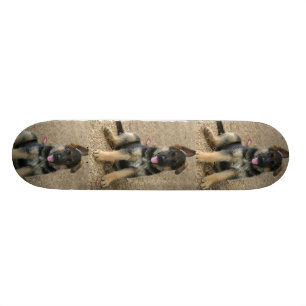 Tysk Skateboard för herdevalphund Bräda 19,5 Cm