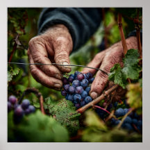 Tysk skörd - Nära upp grafitplockning i Händer