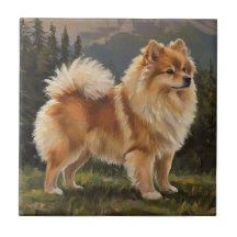 Tysk spets