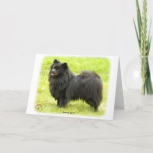 Tysk Spitz 9W014D-009 Kort