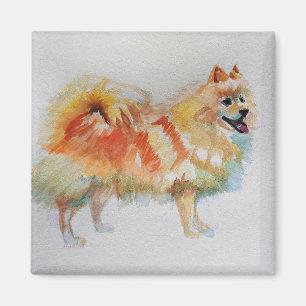 Tysk spitz Pommern Watercolor Hund Hundar Magnet