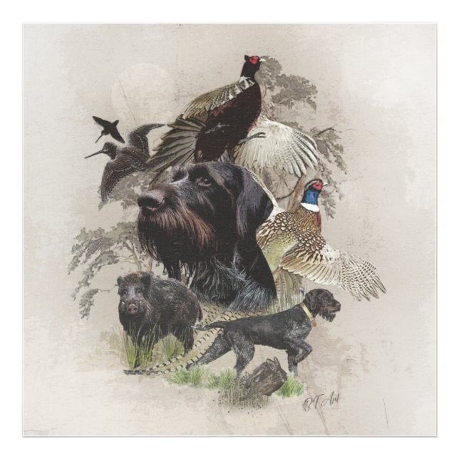 Tysk stående hund med sträv päls    fototryck (Framsidan)