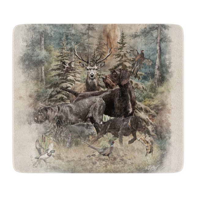Tysk strävhårig pointer (Framsidan)