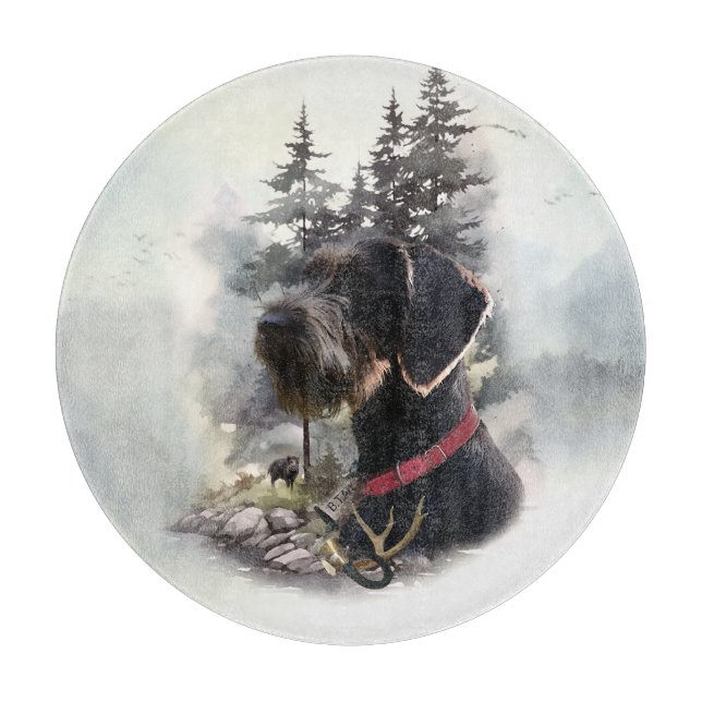 Tysk strävhårig pointer, GWP (Framsidan)