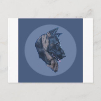 Tysk undersökning av Shepherd Head Vykort