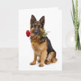Tysk vallhund Valentine Kort