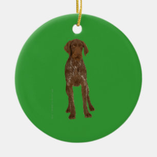 Tysk Wirehaired pekareprydnad Julgransprydnad Keramik