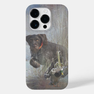 Tysk Wirehsted Pointer