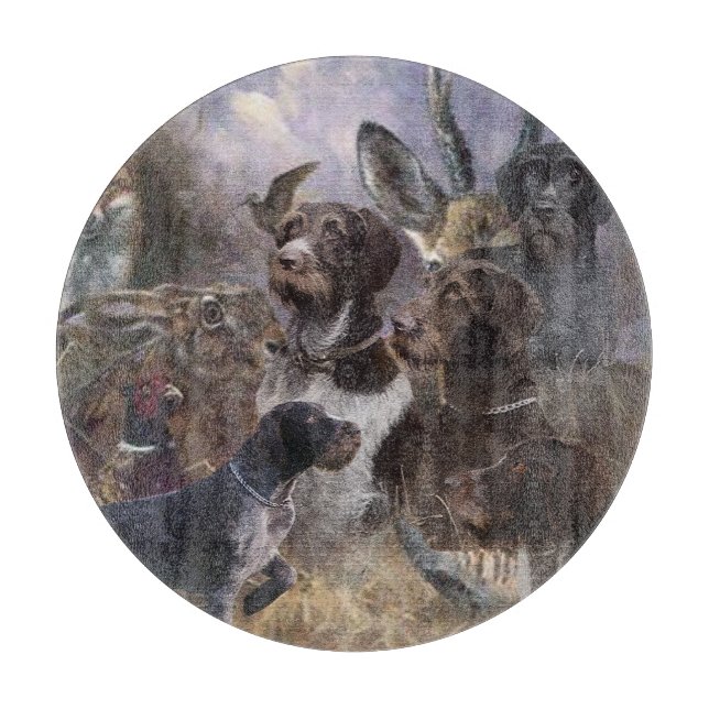 Tysk Wirehsted Pointer (Framsidan)