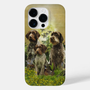 Tysk Wirehsted Pointer
