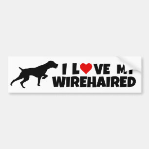 Tysk Wirehsted Pointer Bildekal