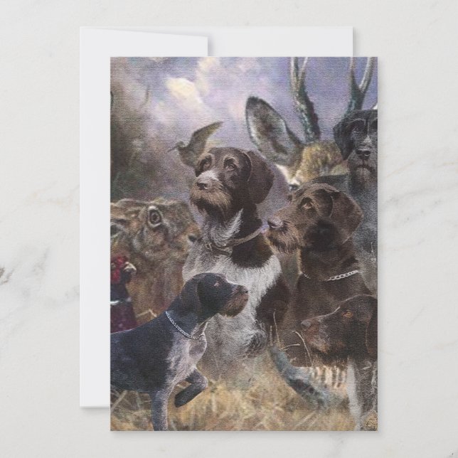 Tysk Wirehsted Pointer Inbjudningar (Framsida)