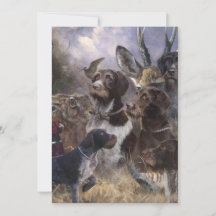 Tysk Wirehsted Pointer