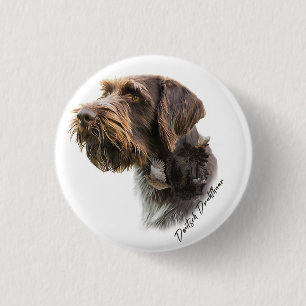 Tysk Wirehsted Pointer Knapp