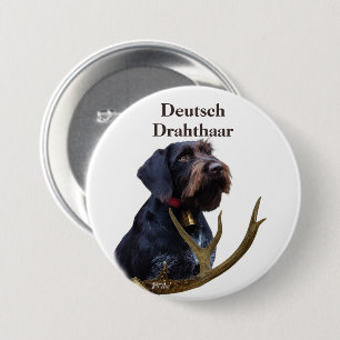 Tysk Wirehsted Pointer Knapp