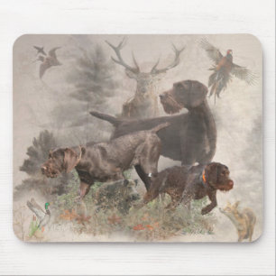 Tysk Wirehsted Pointer Musmatta