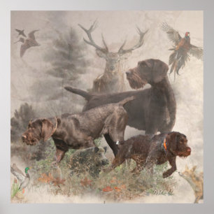 Tysk Wirehsted Pointer Poster