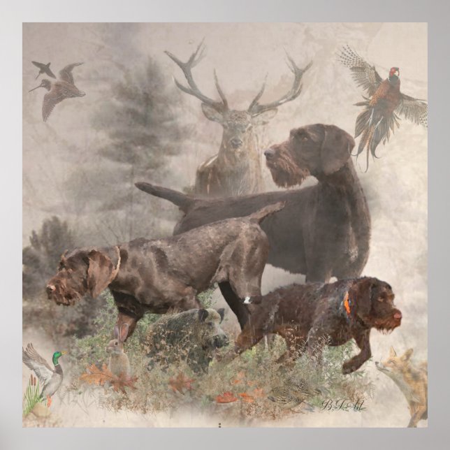 Tysk Wirehsted Pointer Poster (Framsidan)