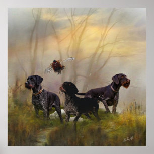 Tysk Wirehsted Pointer Poster