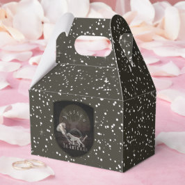 Tysk Wirehsted Pointer Presentaskar