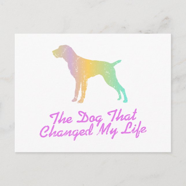 Tysk Wirehsted Pointer Vykort (Framsida)