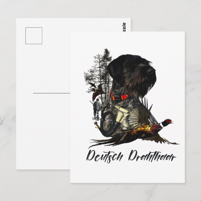 Tysk Wirehsted Pointer Vykort (Fram/baksida)