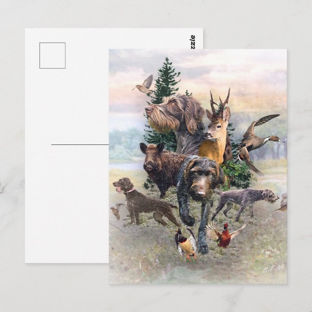 Tysk Wirehsted Pointer Vykort (Fram/baksida)