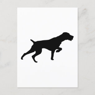 Tysk Wirehsted Pointer Vykort