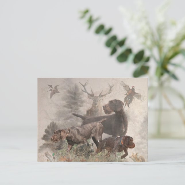 Tysk Wirehsted Pointer Vykort (Stående Fram)